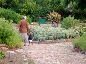 Grandmother & Child in Kirstenbosch Garden